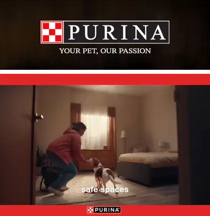 Fausto's Food Palace Purina