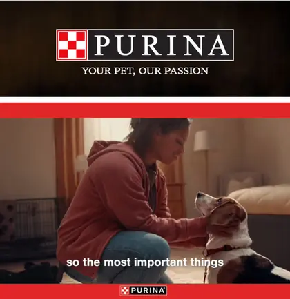 Food Ranch IGA Purina