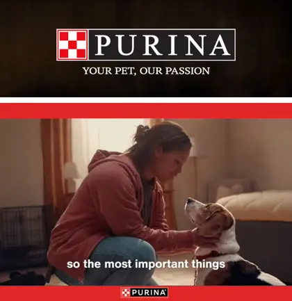 Interlachen Market Purina