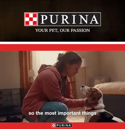 Jasper Market Purina