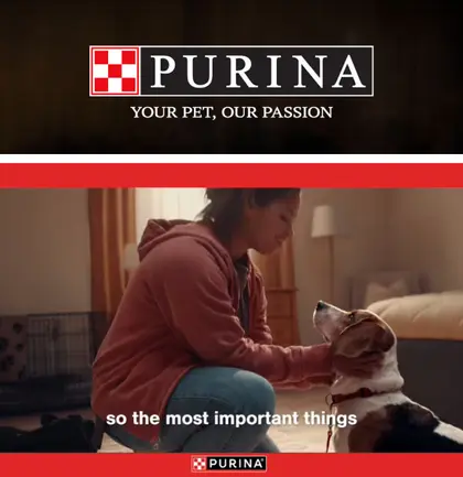 Mt. Plymouth IGA Purina