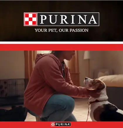 Bob and Jeff's IGA Purina