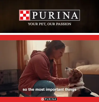 Cairo IGA Purina