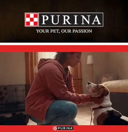 Jenkins IGA Purina