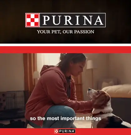 Mickey's Food Store Purina