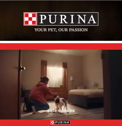 Mr. B's IGA Purina