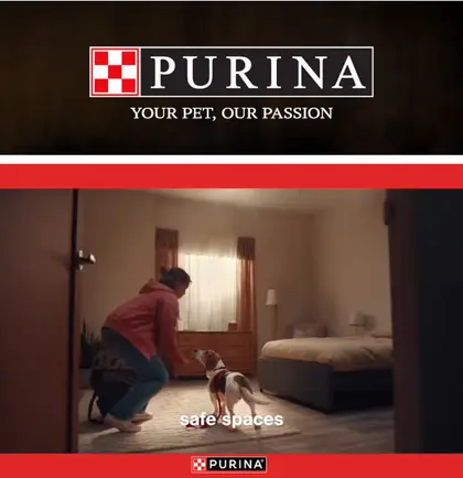 Wall's IGA Weekly Ad