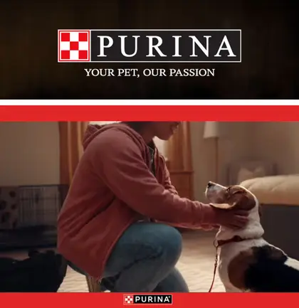 West Foods IGA Purina