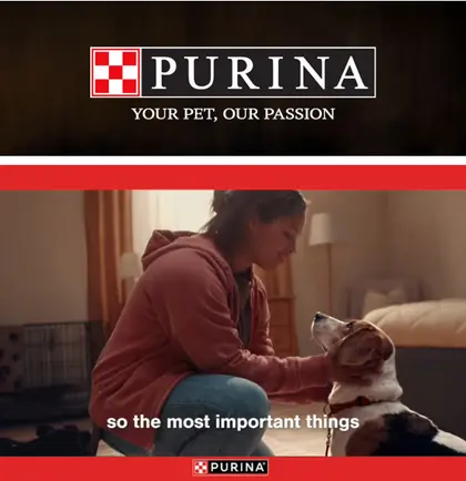 Woodbine Groceries Purina