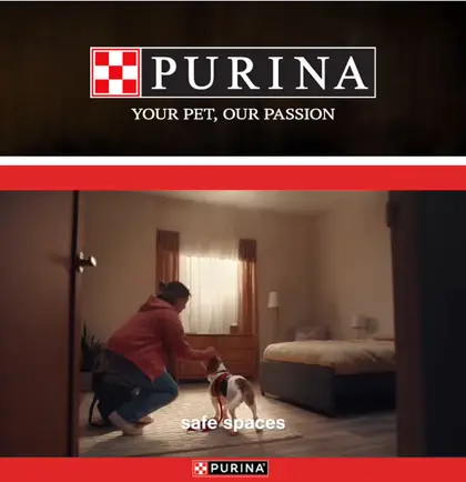 Stake's IGA Weekly Ad