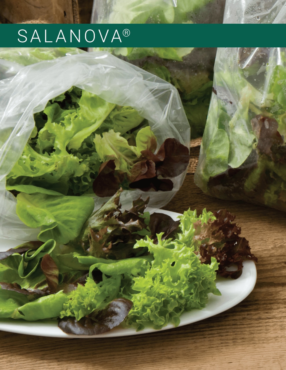 Johnny's Selected Seeds weekly ad page 4
