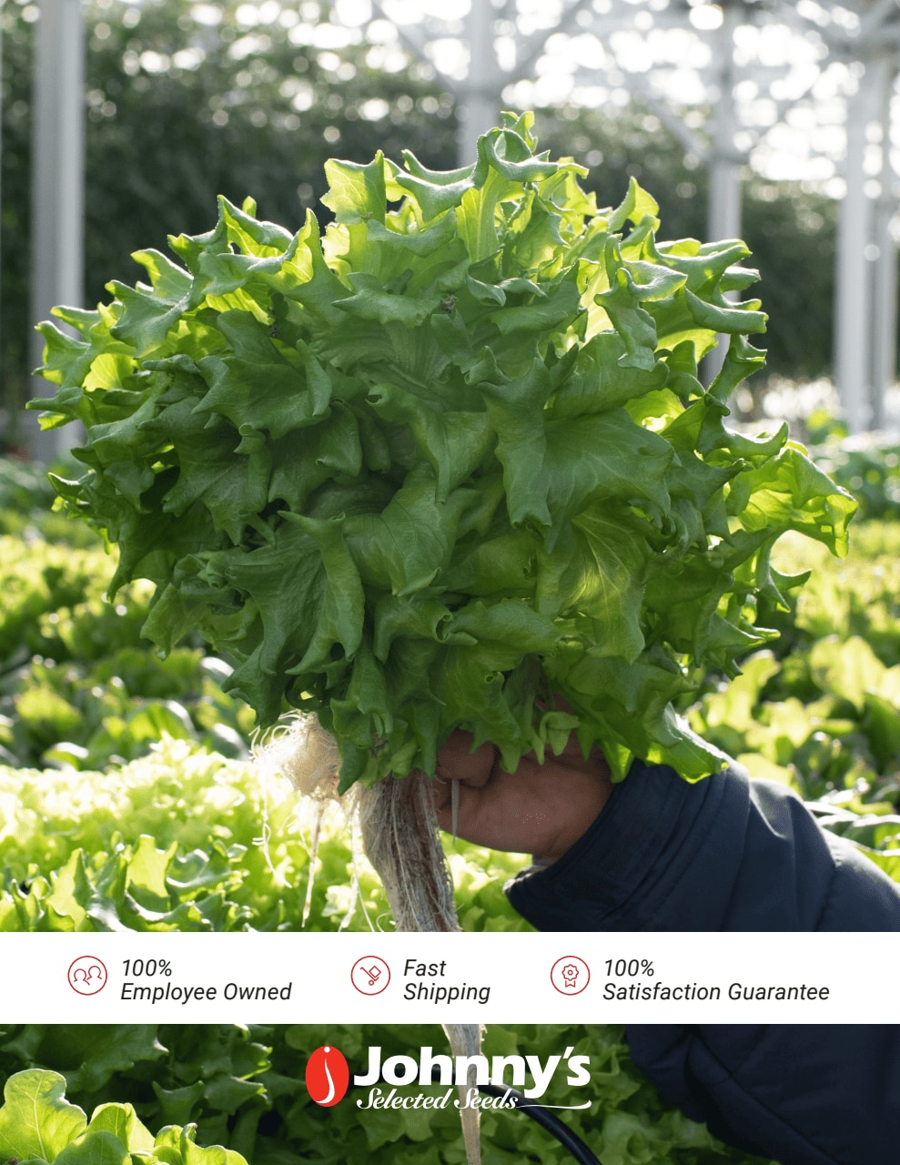 Johnny's Selected Seeds weekly ad page 26