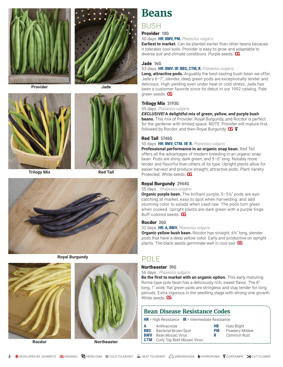 Johnny's Selected Seeds weekly ad page 4