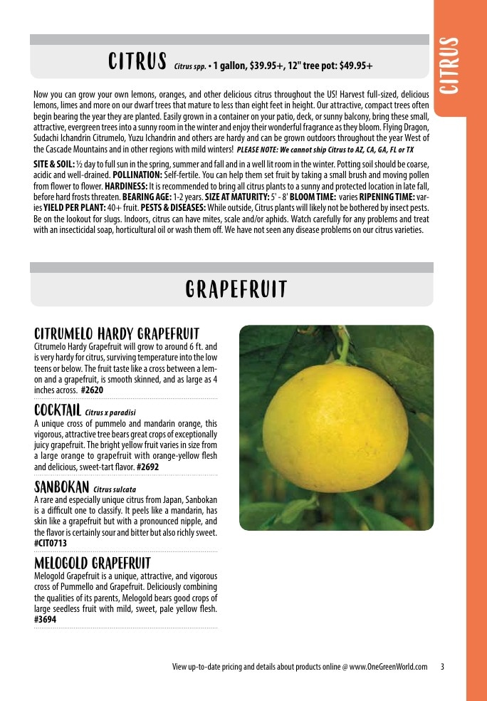 One Green World weekly ad page 5