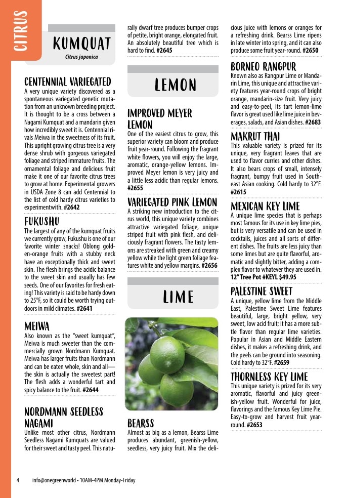 One Green World weekly ad page 6