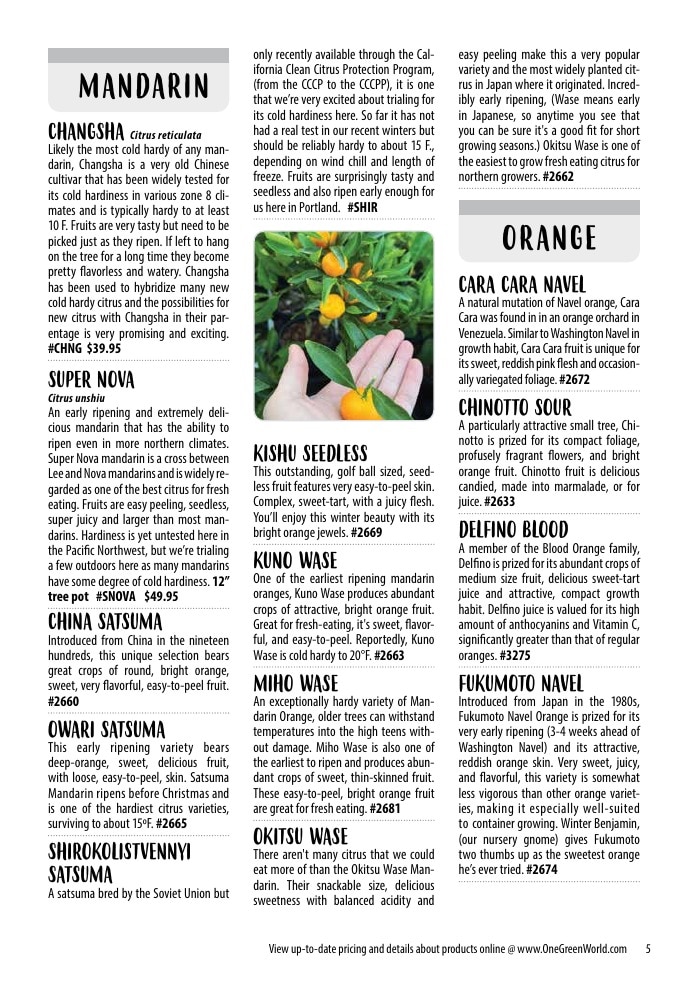 One Green World weekly ad page 7