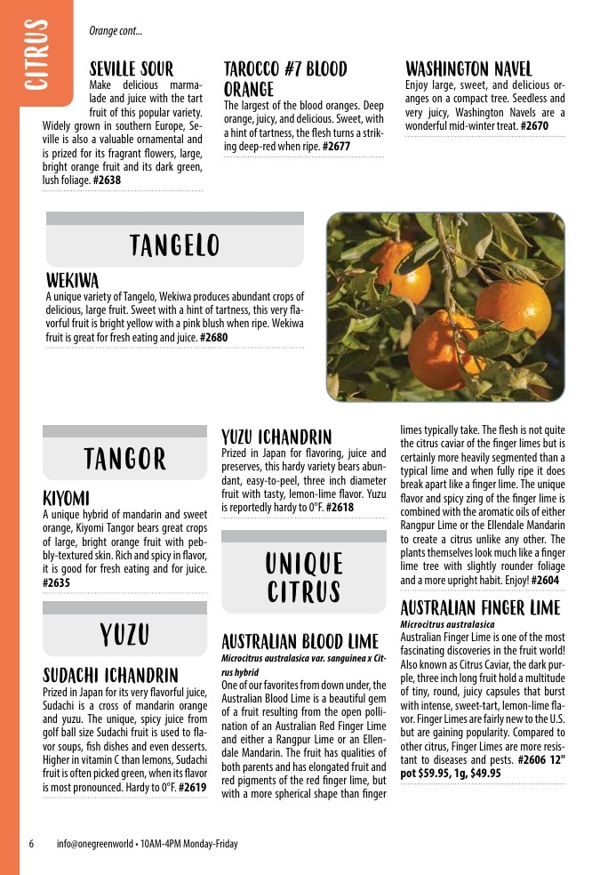 One Green World weekly ad page 8
