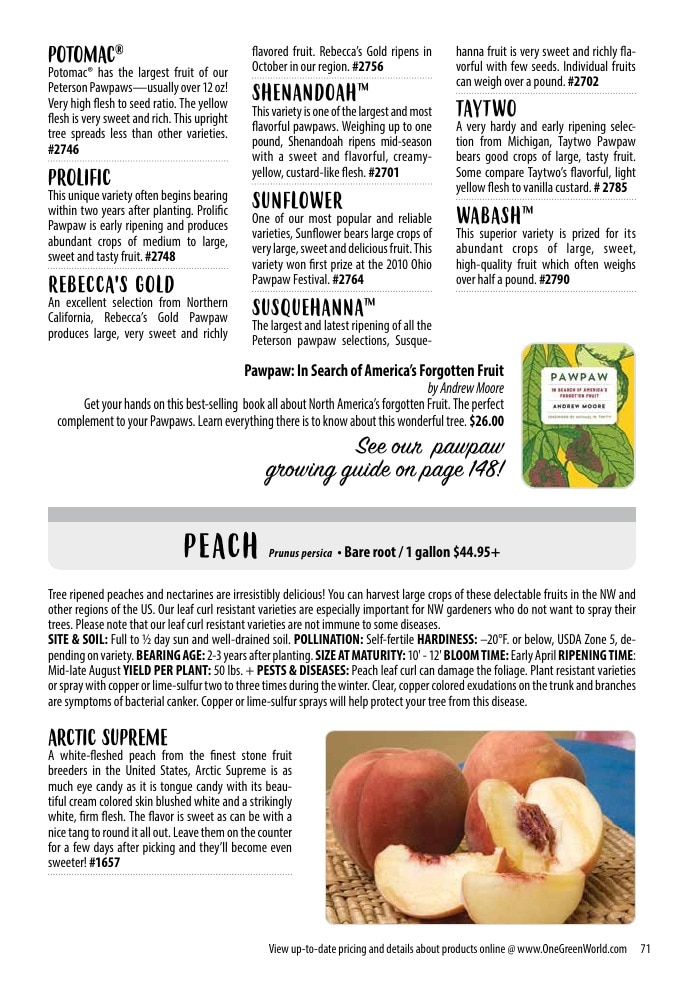 One Green World weekly ad page 73