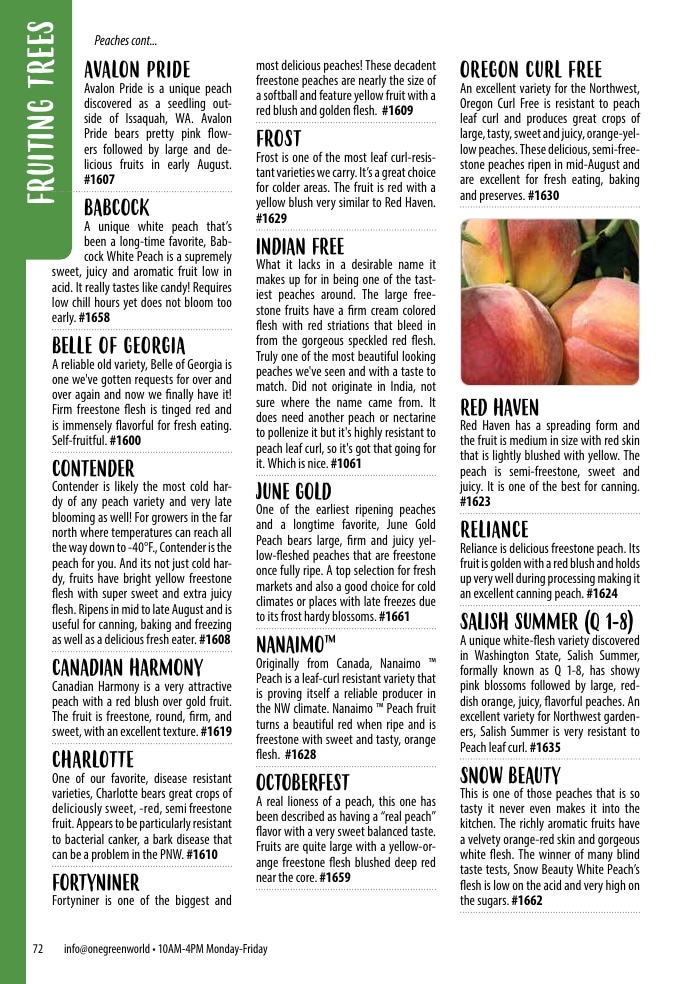 One Green World weekly ad page 74