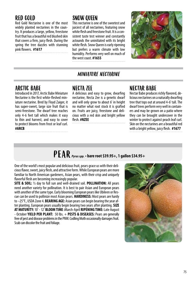 One Green World weekly ad page 77
