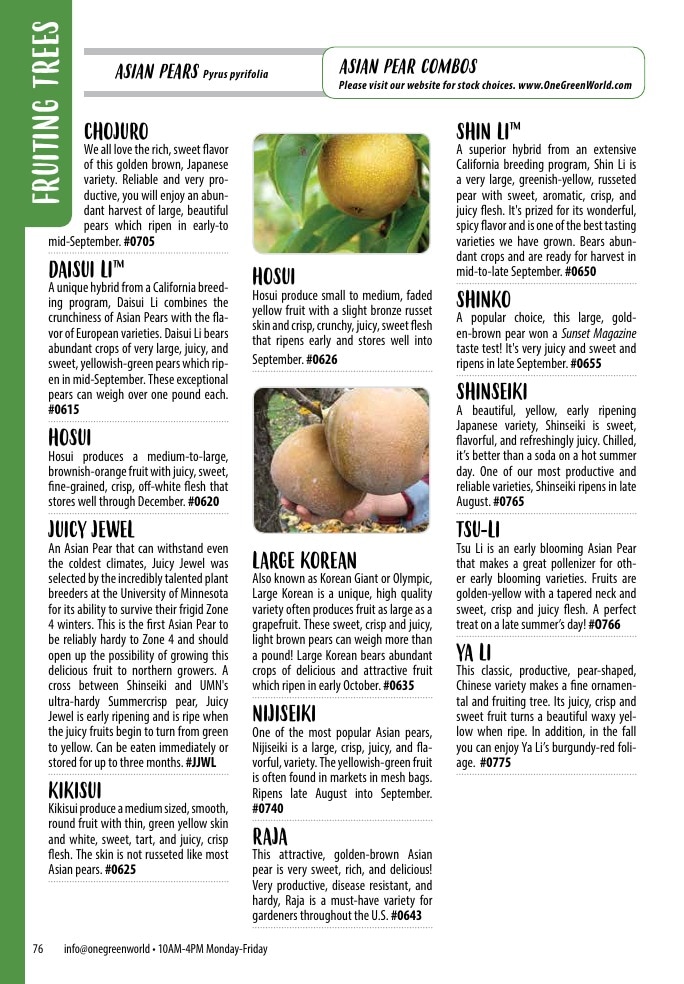 One Green World weekly ad page 78