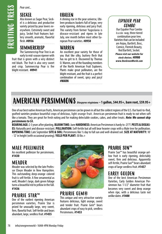 One Green World weekly ad page 80