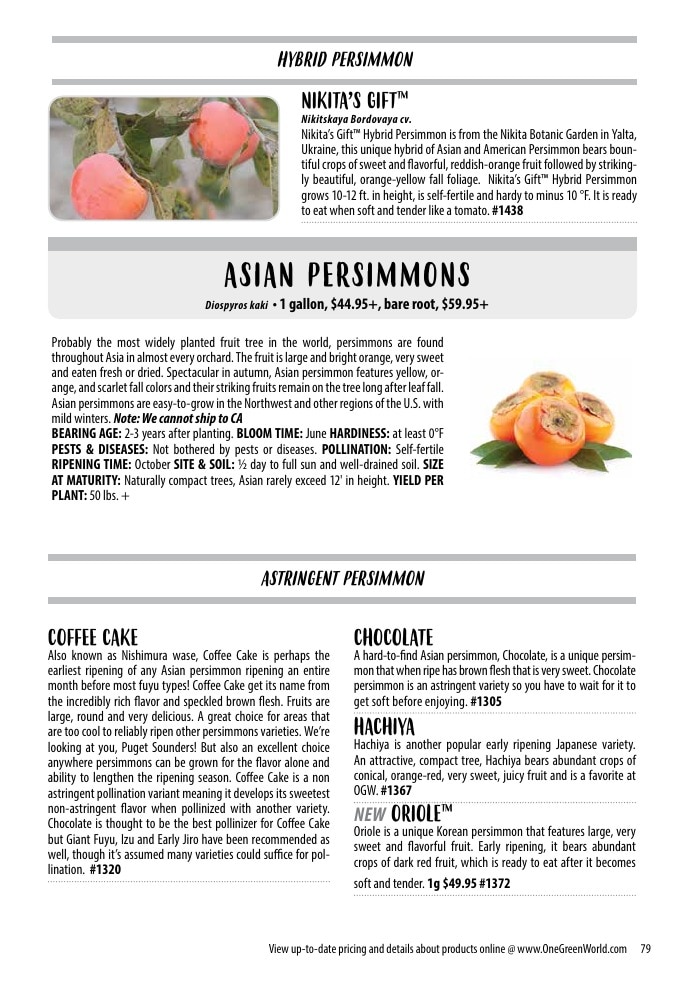 One Green World weekly ad page 81