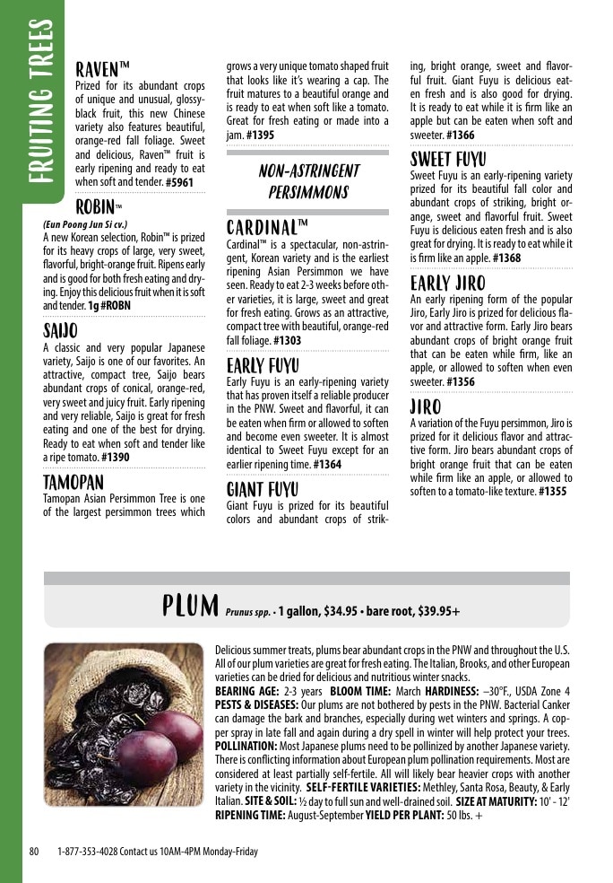 One Green World weekly ad page 82