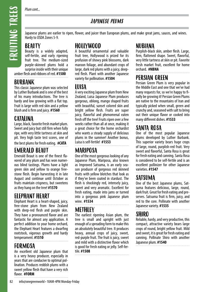One Green World weekly ad page 84