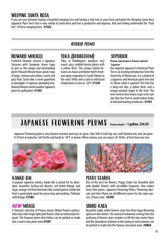 One Green World weekly ad page 85