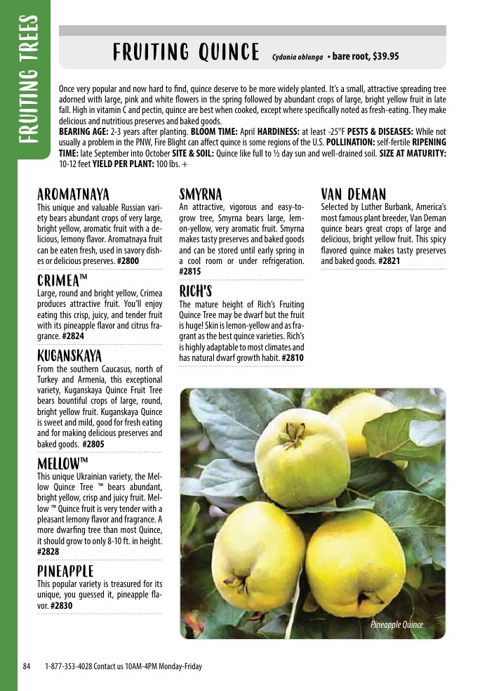 One Green World weekly ad page 86