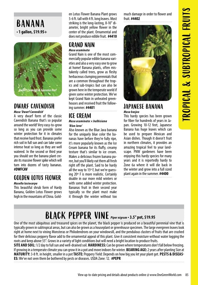 One Green World weekly ad page 87