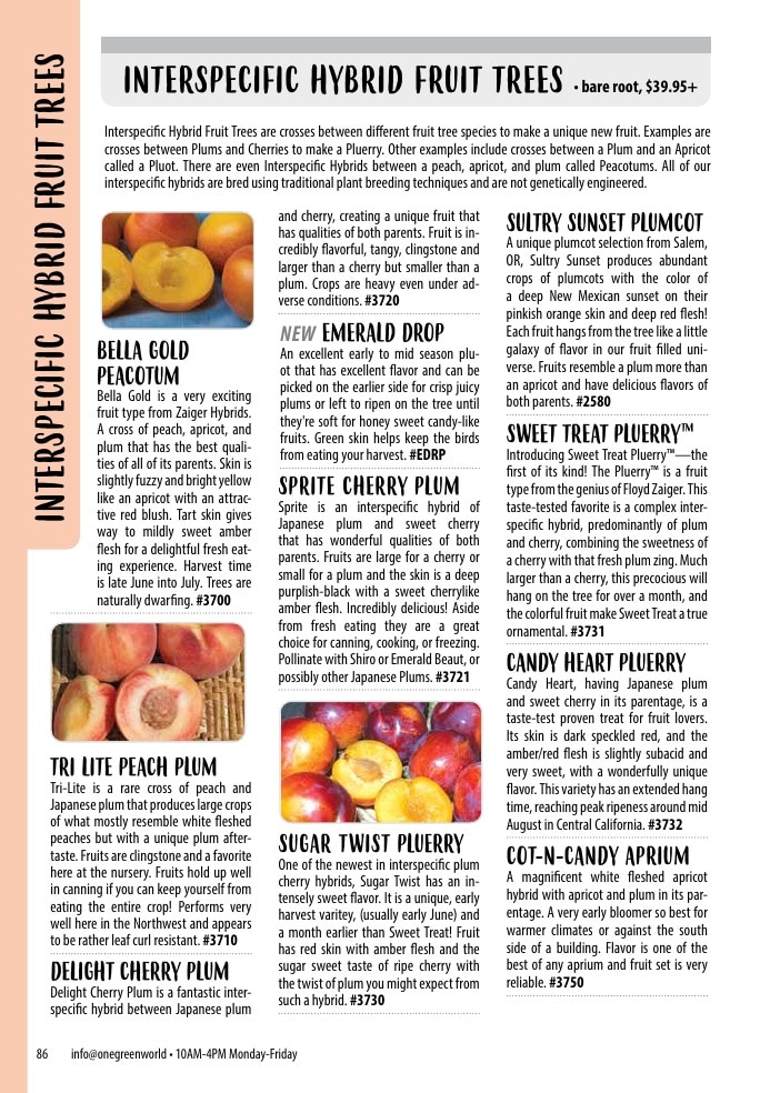 One Green World weekly ad page 88