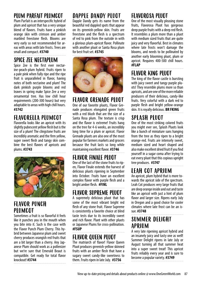 One Green World weekly ad page 89