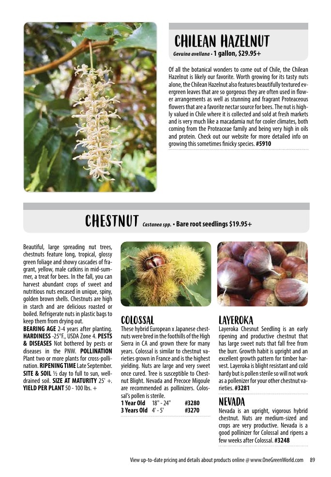One Green World weekly ad page 91