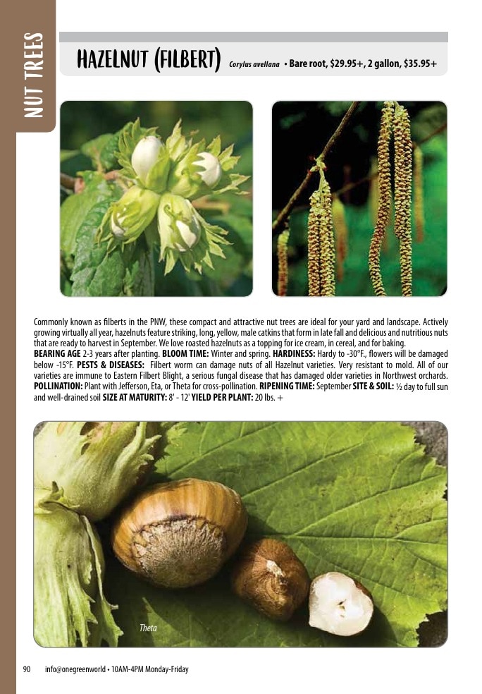 One Green World weekly ad page 92