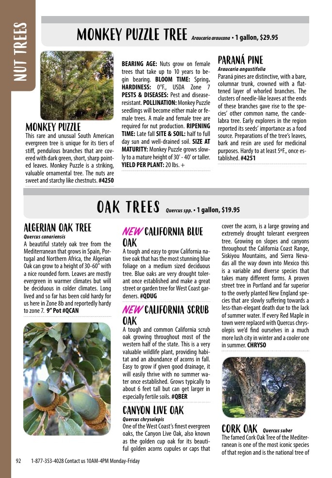 One Green World weekly ad page 94