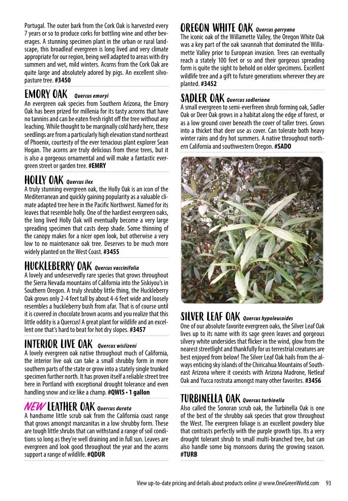One Green World weekly ad page 95