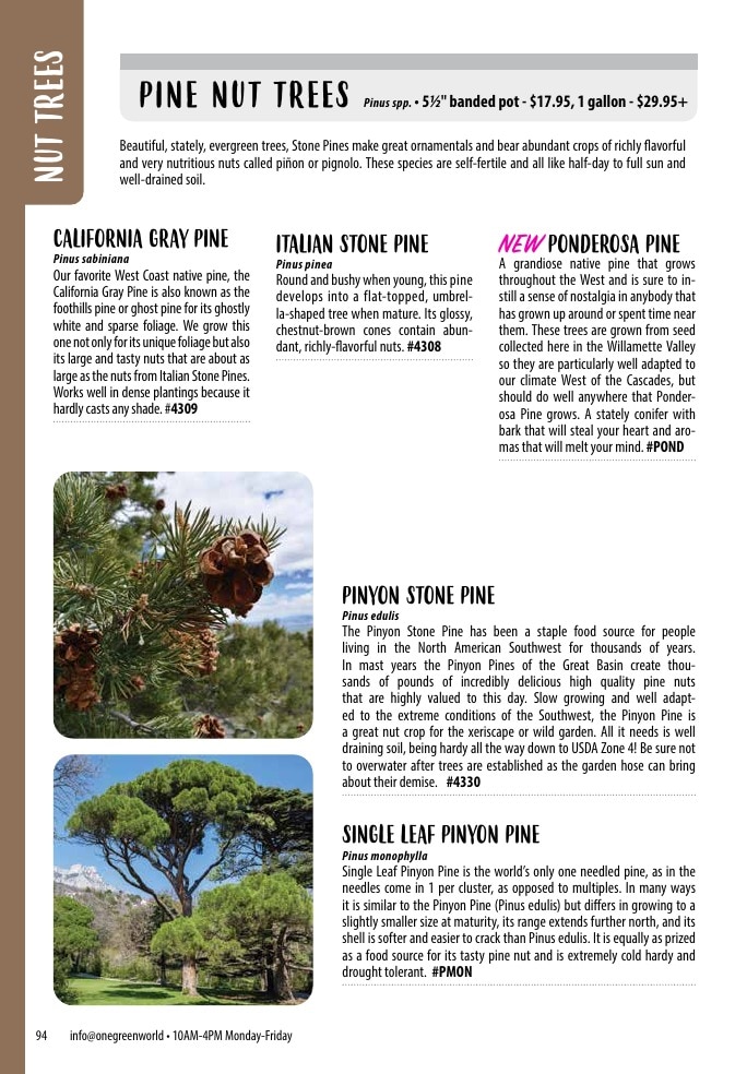 One Green World weekly ad page 96
