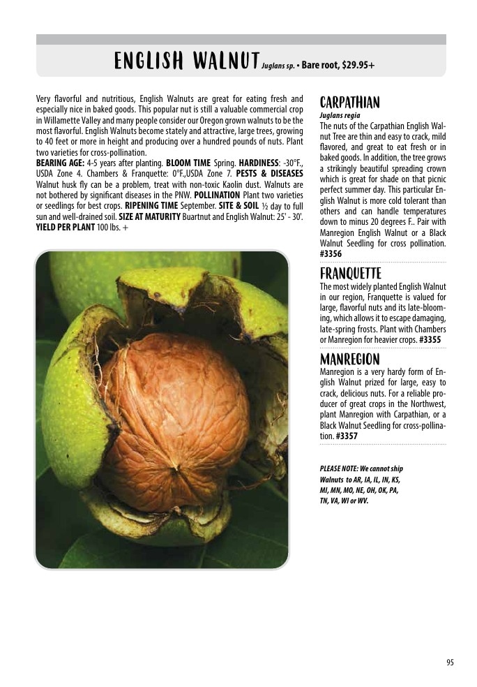 One Green World weekly ad page 97