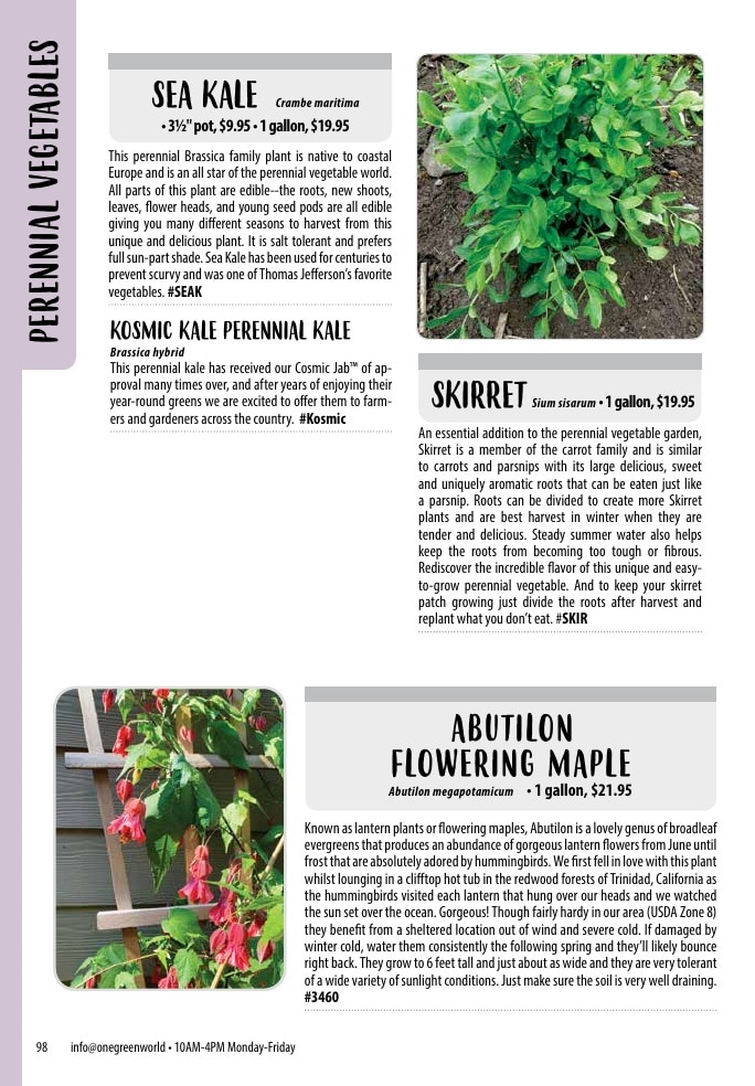 One Green World weekly ad page 100