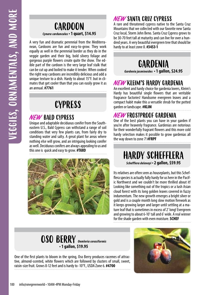 One Green World weekly ad page 102