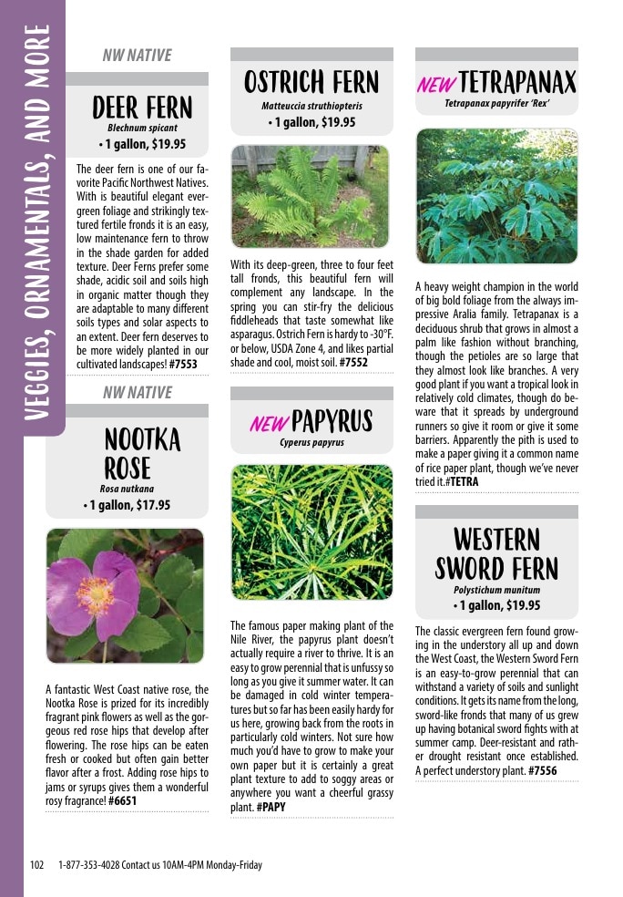 One Green World weekly ad page 104