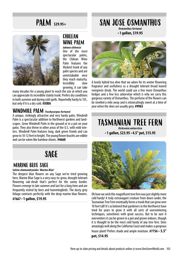 One Green World weekly ad page 105