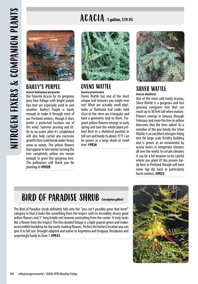One Green World weekly ad page 106