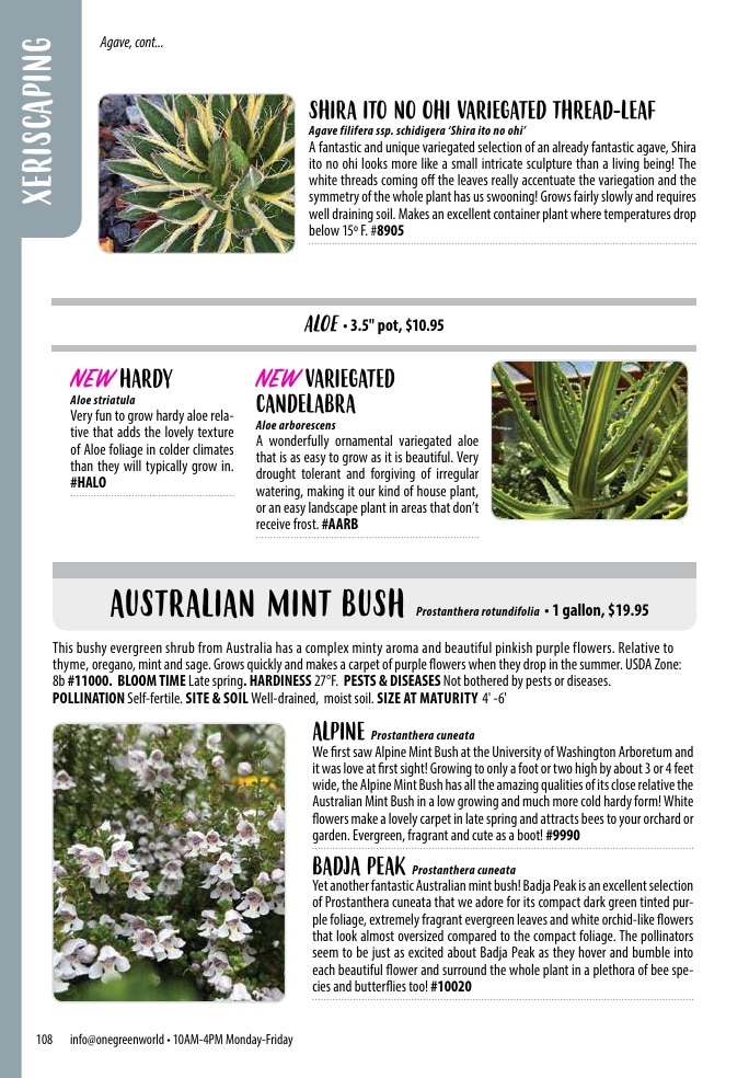 One Green World weekly ad page 110