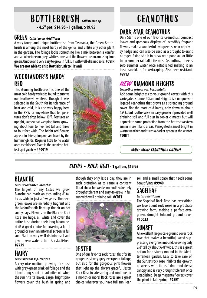 One Green World weekly ad page 111