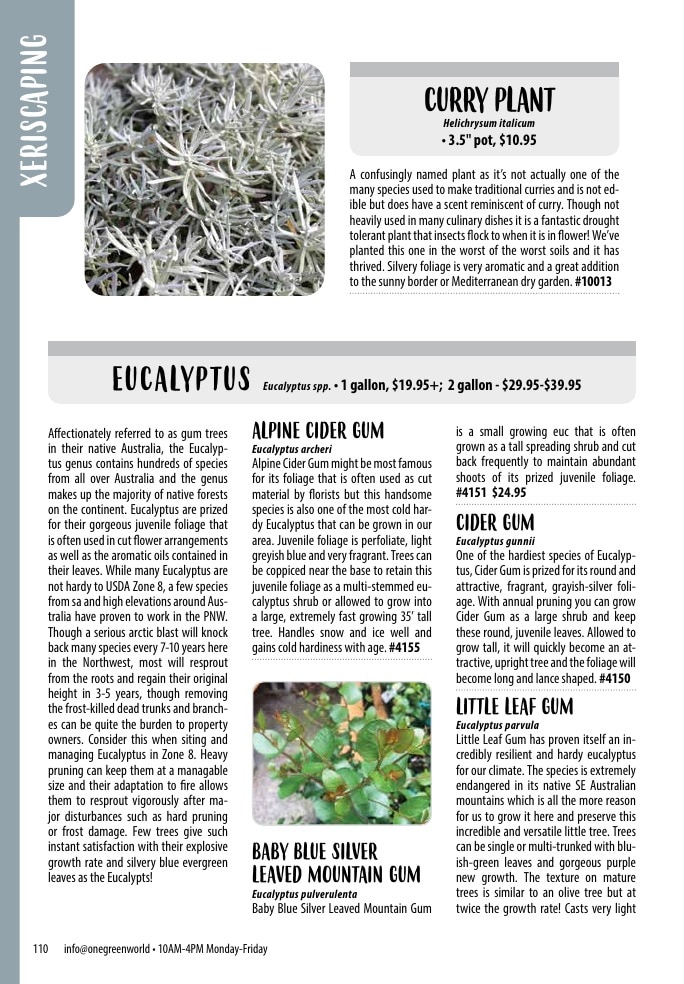 One Green World weekly ad page 112