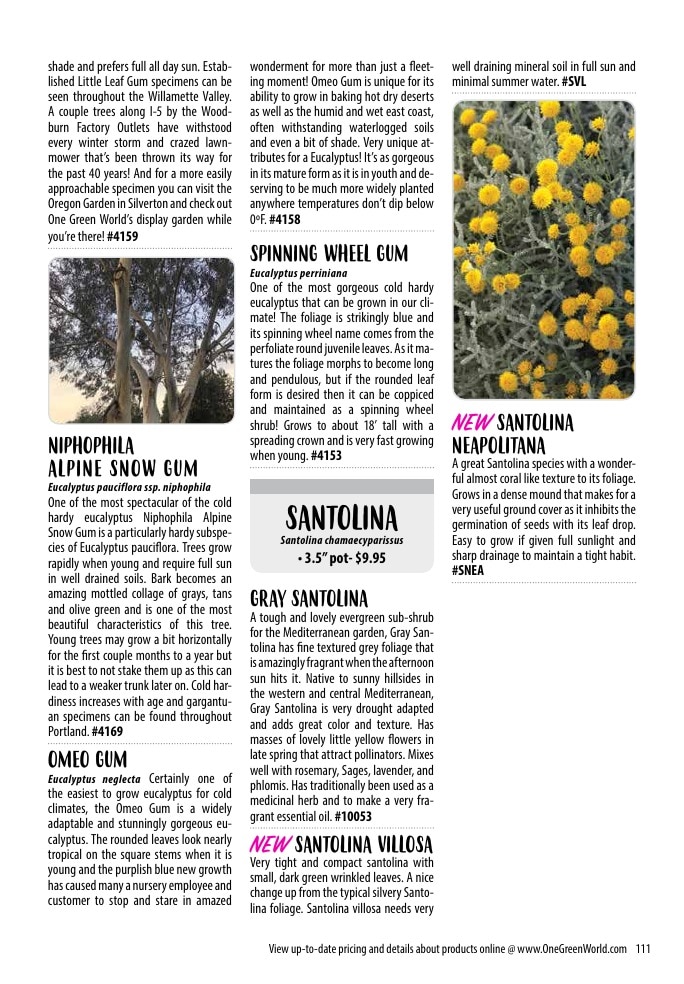 One Green World weekly ad page 113