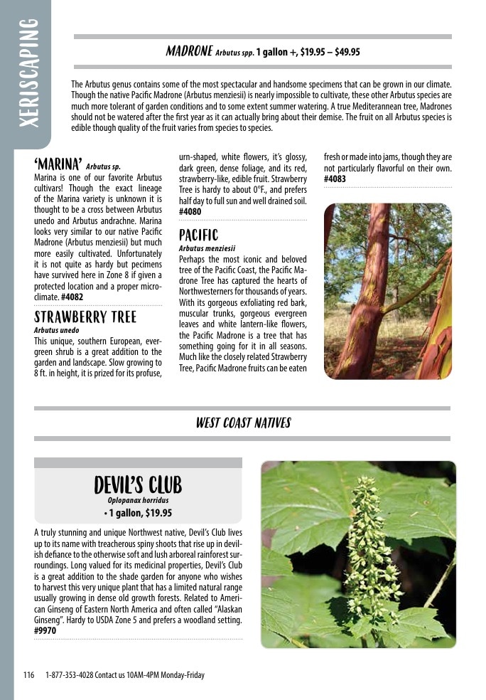 One Green World weekly ad page 118